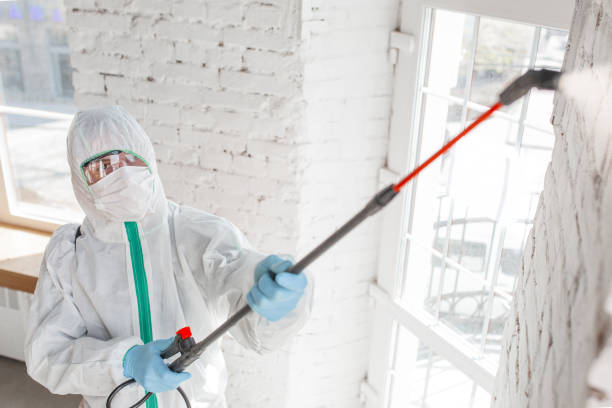 Best Asbestos and Lead Testing During Mold Inspection  in Boulder City, NV