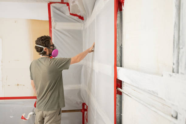 Best Crawl Space Mold Remediation  in Boulder City, NV